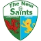 The New Saints